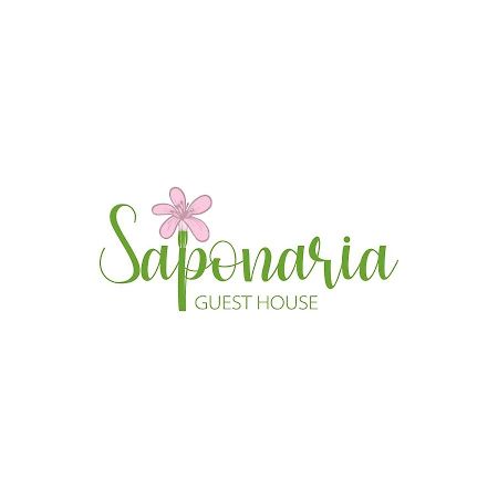 Saponaria Casa Al Mare Lejlighed CTA Eksteriør billede