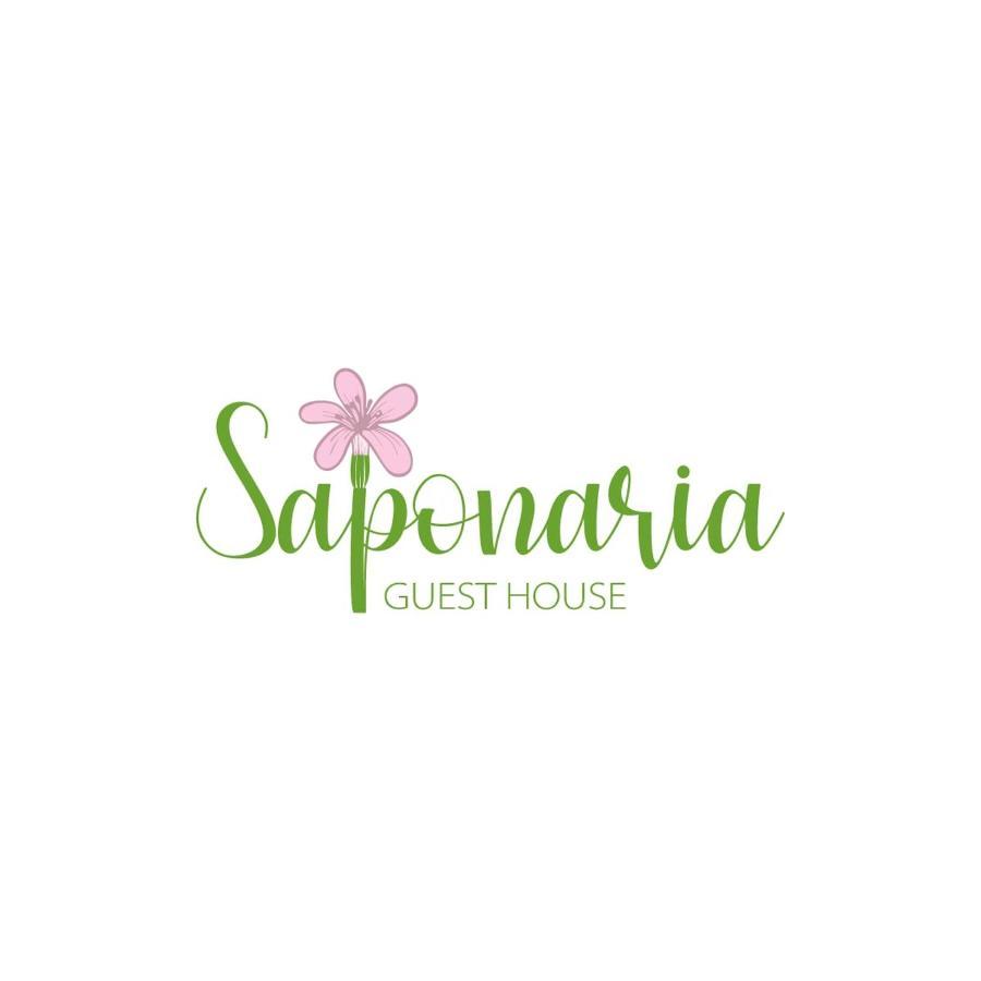 Saponaria Casa Al Mare Lejlighed CTA Eksteriør billede
